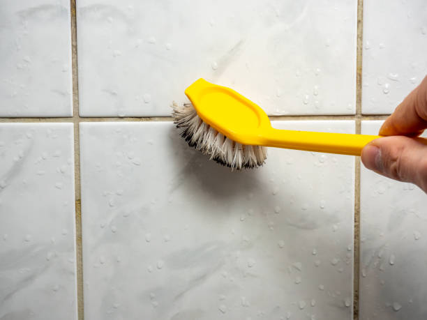 Best Local Mold Removal Service  in Hopelawn, NJ