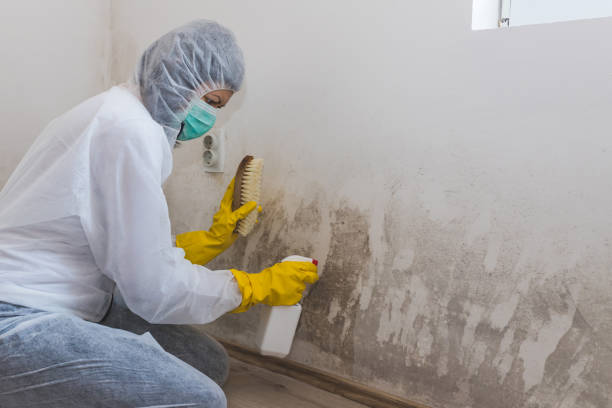 Best Fast Mold Removal  in Hopelawn, NJ