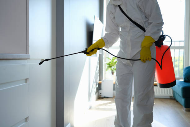 Best Office Mold Removal Services  in Hopelawn, NJ