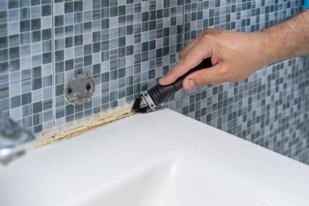 Best Local Mold Removal Service  in Hopelawn, NJ