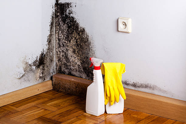 Best Affordable Mold Removal  in Hopelawn, NJ