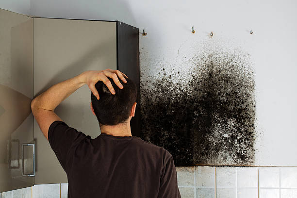 Best Black Mold Removal  in Hopelawn, NJ